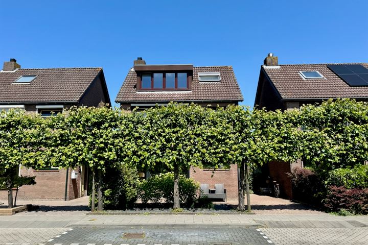 Kastanjelaan 11 in Steenbergen foto
