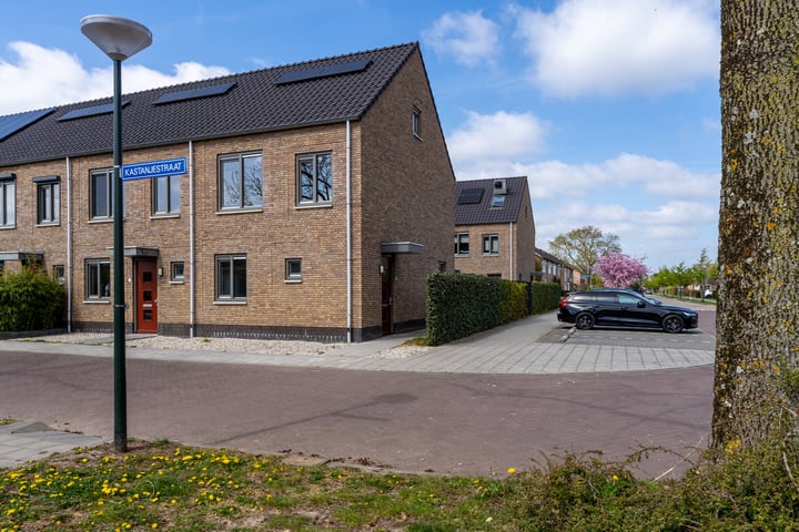 Kastanjestraat 31 in Eethen foto