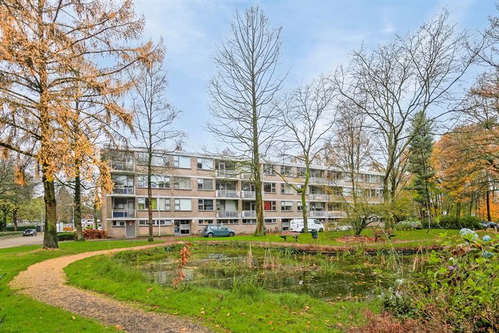 Kasteel Nijenrodestraat 197 in Tilburg foto