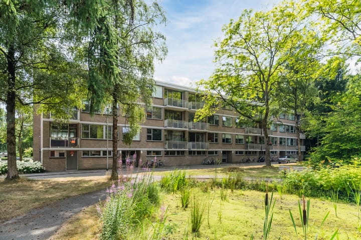 Kasteel Nijenrodestraat 227 in Tilburg foto