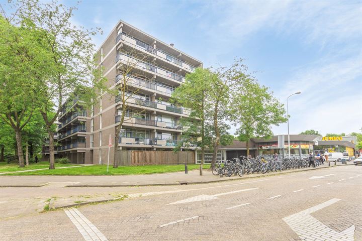 Kastelenplein 115 in Eindhoven foto