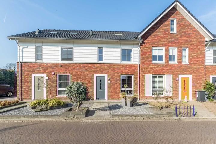 Kattestart 44 in Gemert foto