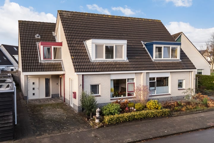 Keimpemastins 30 in Leeuwarden foto