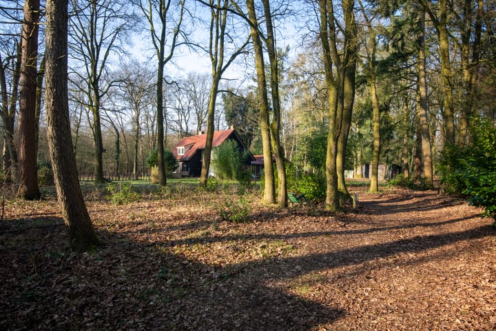 Kerkendelweg 47A in Kootwijk foto