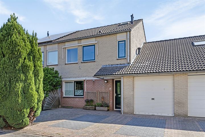 Kerkuil 40 in Emmen foto