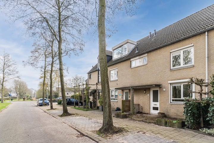 Kerkuil 5 in Breda foto