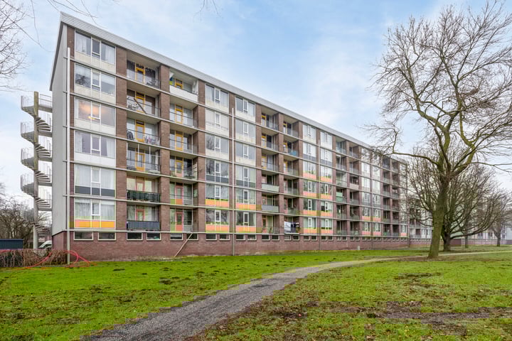 Kervelstraat 146 in Krommenie foto