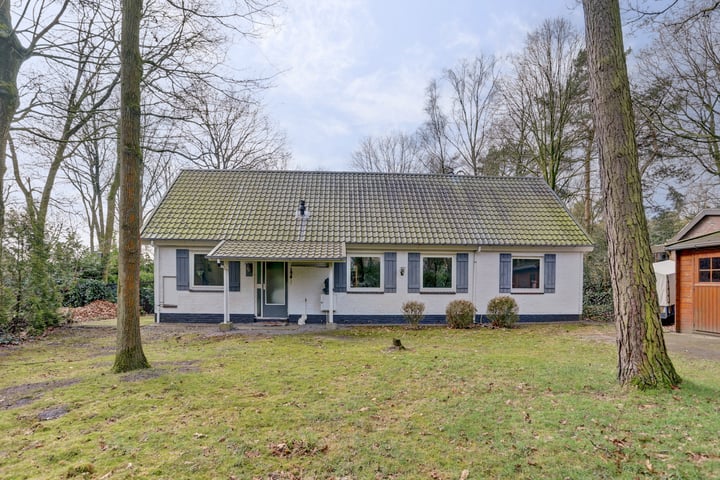 Kievit 12b-285 in Baarle-Nassau foto