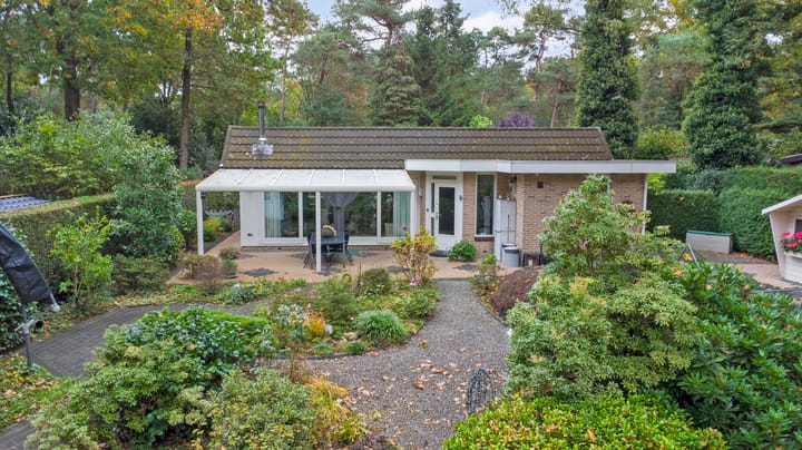 Kievit 12b-289 in Baarle-Nassau foto