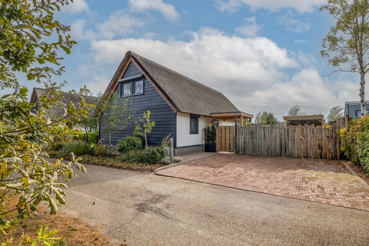 Kievit 12b-683 in Baarle-Nassau foto