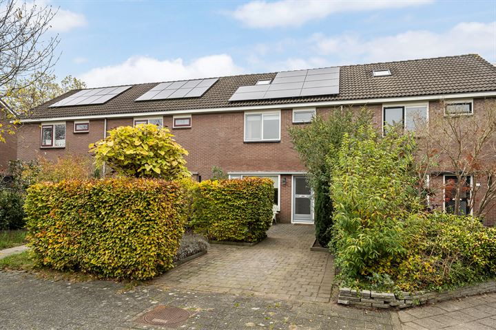 Kievitsbloem 21 in Dalfsen foto