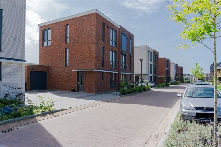 Kievitsbloem 3 in Bergen op Zoom foto