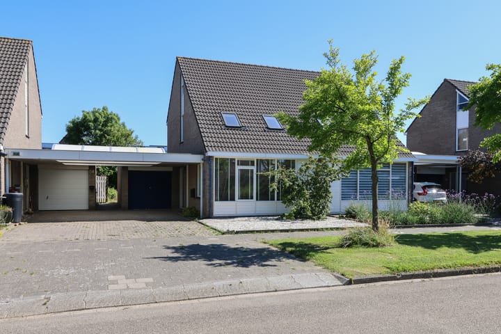 Kinkhoarn 52 in Stiens foto