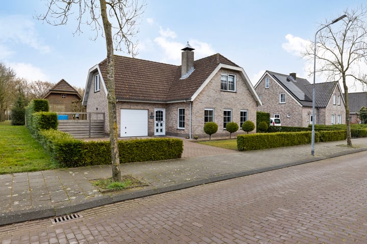 Klaproos 1 in Hulst foto