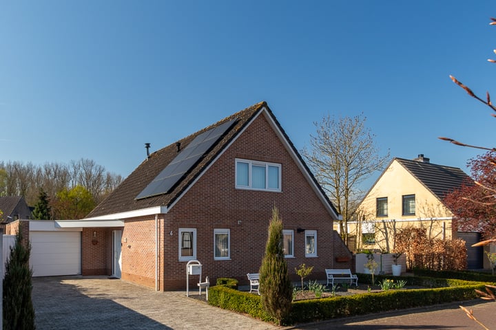 Klaver 6 in Hulst foto
