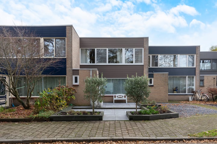 Klaverblad 55 in Halsteren foto