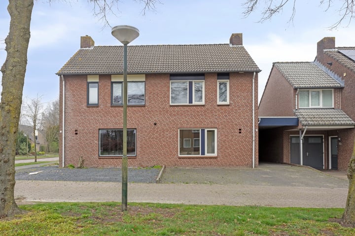 Kleefkruid 6 in Asten