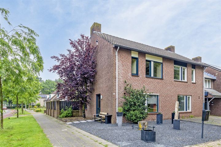 Kleefkruid 8 in Asten foto