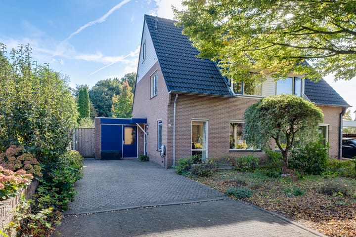 Klein Azink 4 in Epse foto