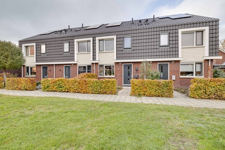 Kleine Pimpernel 7 in Klarenbeek foto