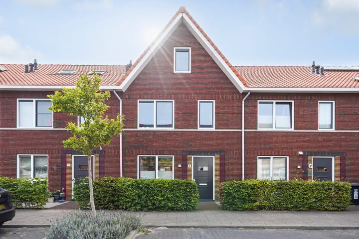 Kleine vos 8 in 's-Gravenzande foto