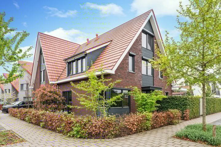 Kleine Vuurvlinder 23A in Mierlo foto