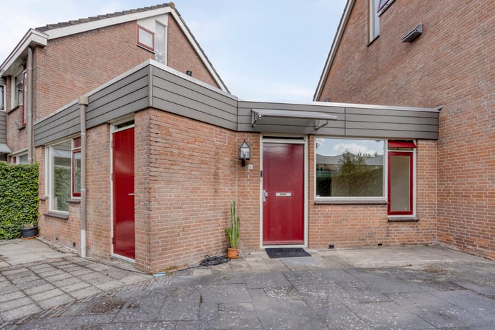 Klimopzoom 6 in Leiderdorp foto