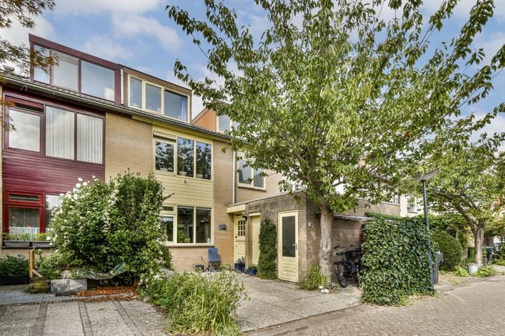 Klimroos 27 in Leiden foto