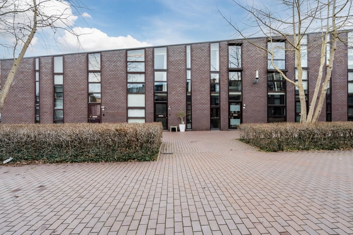 Klokjesbloem 3 in Papendrecht foto
