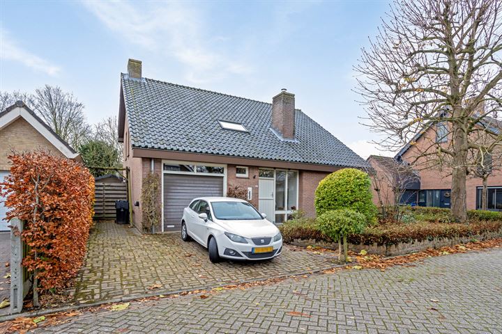Kluut 17 in Sommelsdijk foto