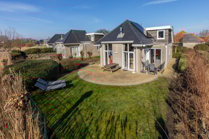 Kluut 2 in Zoutelande foto