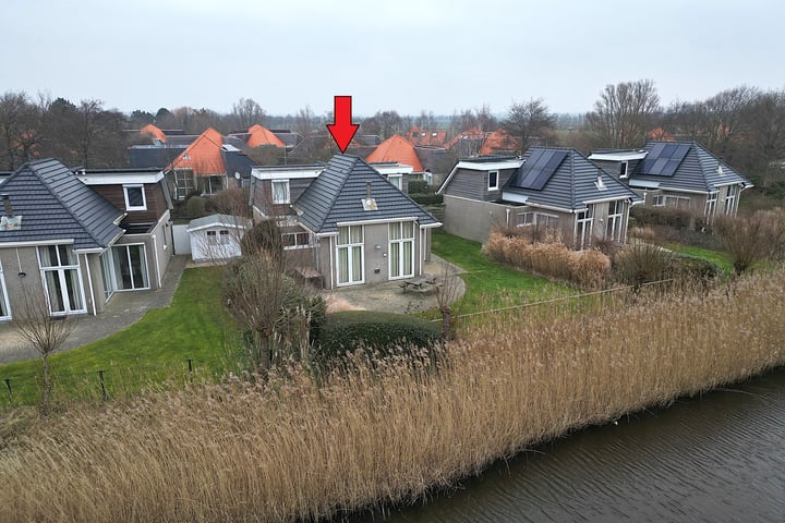Kluut 3 in Zoutelande foto