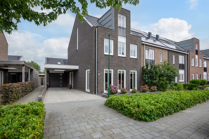 Knoopkruid 11 in Voorthuizen foto