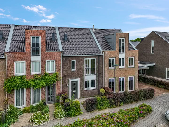 Knoopkruid 7 in Voorthuizen foto