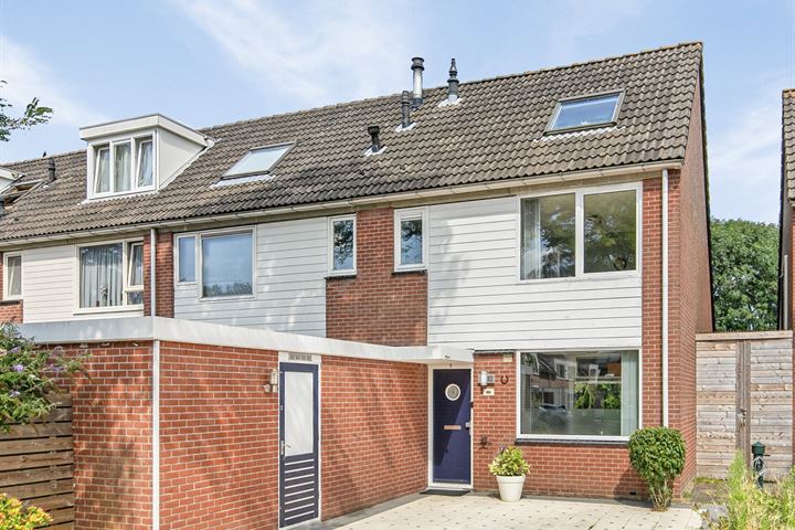 Knoopkruid 92 in Diemen foto