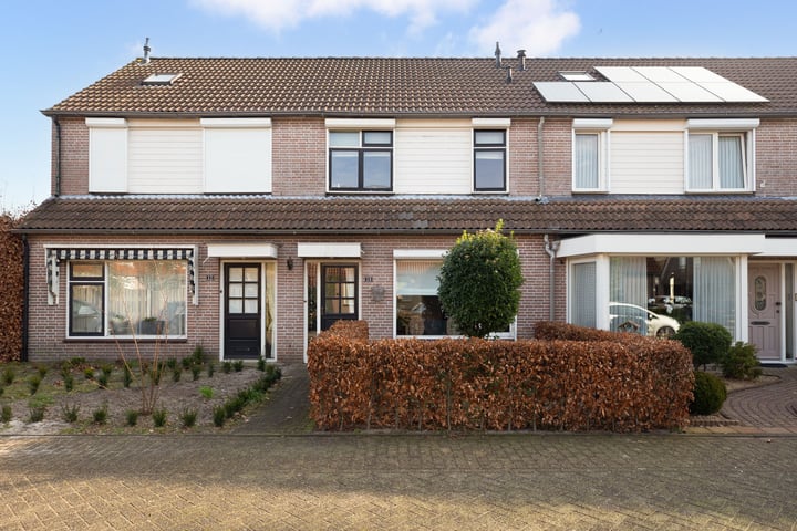 Koekoek 10 in Sprang-Capelle foto