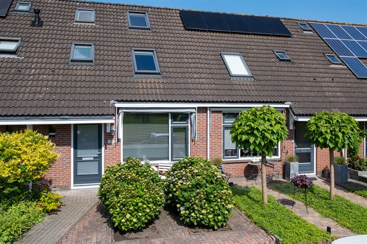 Koekoeksbloem 20 in Roden foto