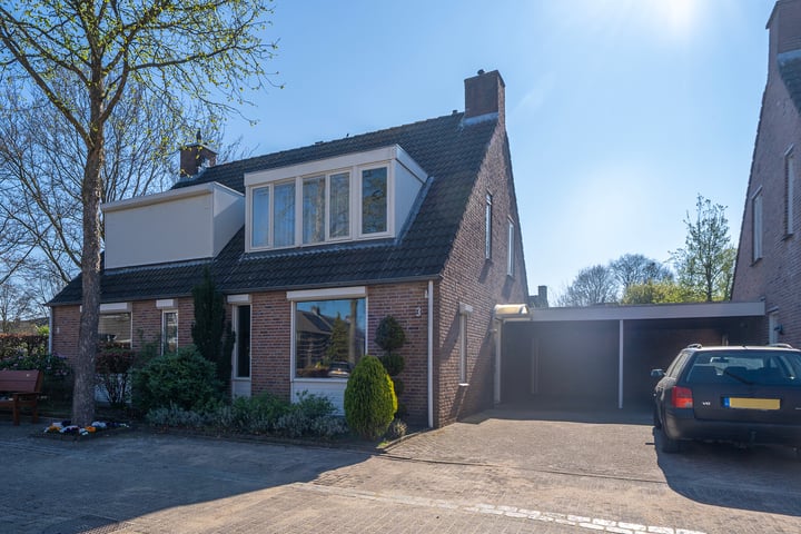 Koekoeksbloem 3 in Udenhout