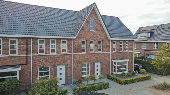 Koekoeksbloem 6 in Dongen foto