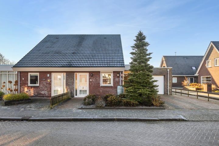 Koekoeksblom 17 in Damwâld foto