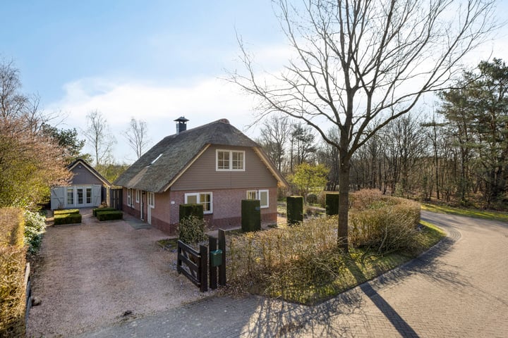 Koele 37 in Appelscha foto