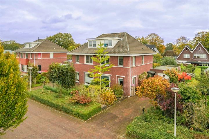 Koelgoorn 7 in Diever foto
