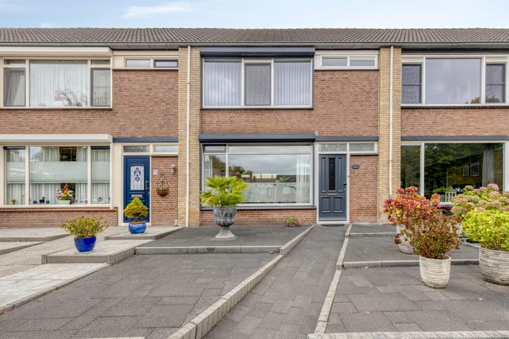 Koffiebos 3 in Halsteren