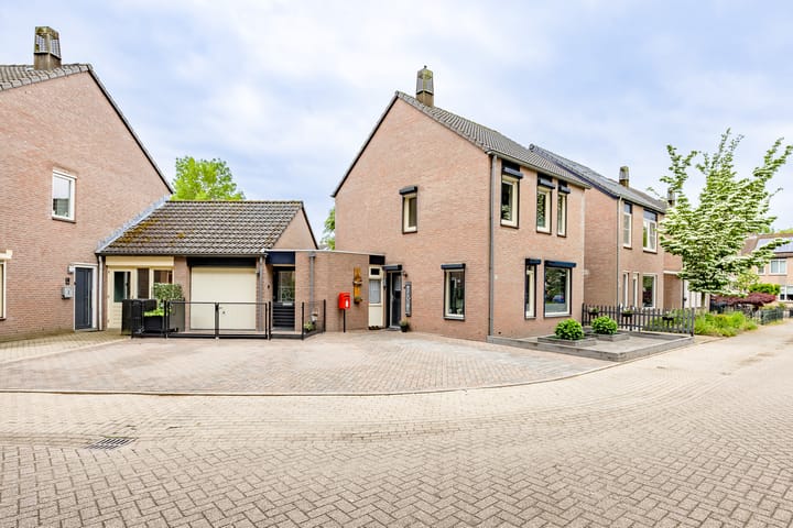 Kogeldistel 8 in Venray foto