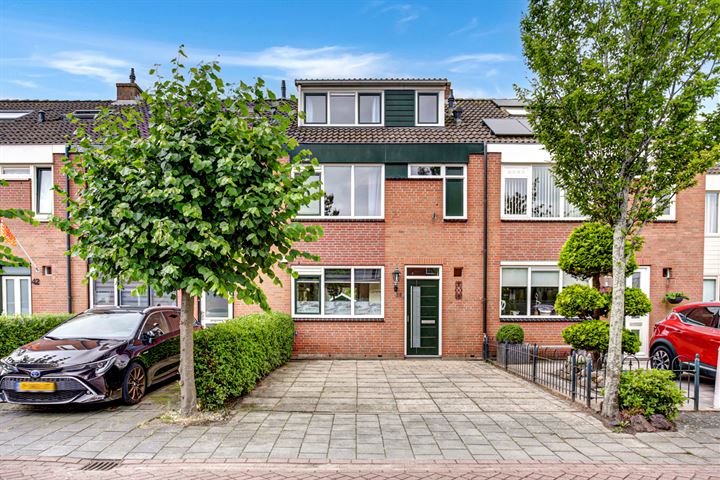 Kogerwatering 38 in Koog aan de Zaan foto