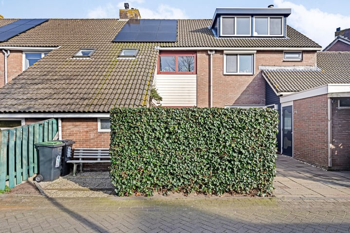 Koggeschip 36 in Schiedam foto