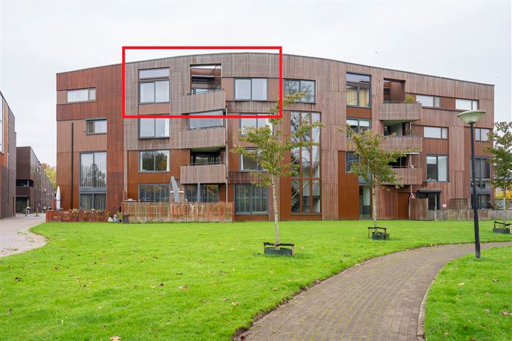 Kokardebloem 15 in Papendrecht foto