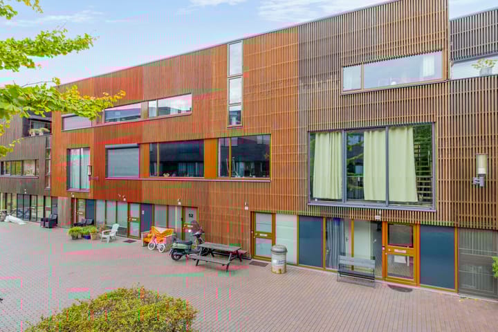 Kokardebloem 50 in Papendrecht foto