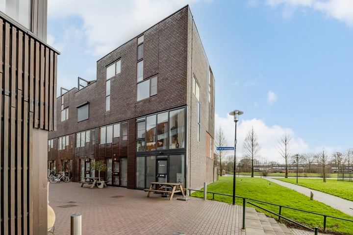Kokardebloem 83 in Papendrecht foto