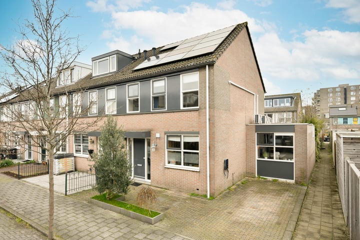 Kolgans 11 in Diemen foto